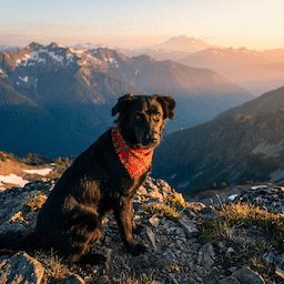 Mountain Vista style example